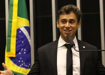 deputado federal, parlamentar, político