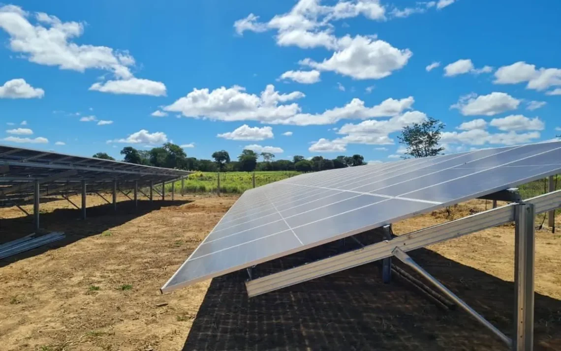 eco-friendly, corretas, responsável, ambiental, amigável ao meio, ambiente;