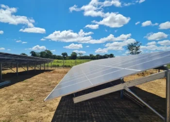 eco-friendly, corretas, responsável, ambiental, amigável ao meio, ambiente;