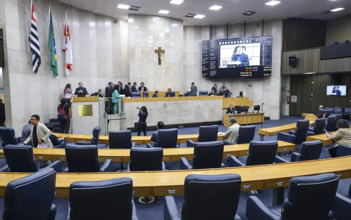 mulheres, na Câmara, representatividade, feminina, candidaturas, femininas;