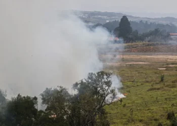 suspeita de incêndios criminosos;